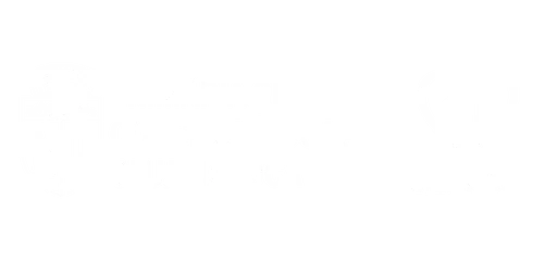 Primăria și Consiliul Local Cluj-Napoca · Visit Cluj-Napoca